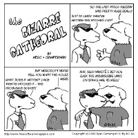 The Bizarre Cathederal