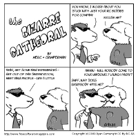 The Bizarre Cathederal
